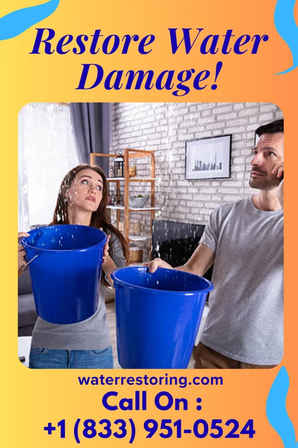 water restoration Global Flood Damage Masters Hull