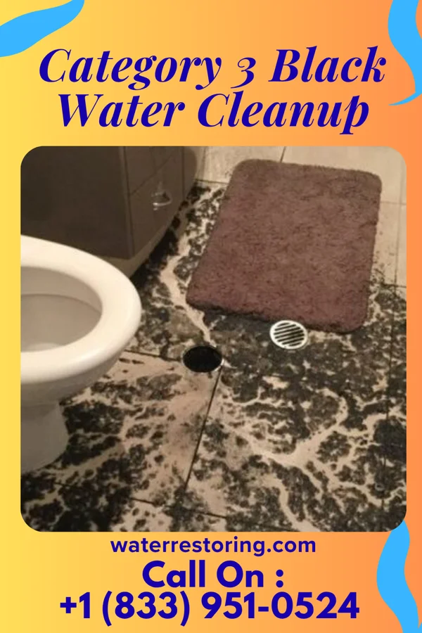 Category 3 Black Water Cleanup in Hull, IA