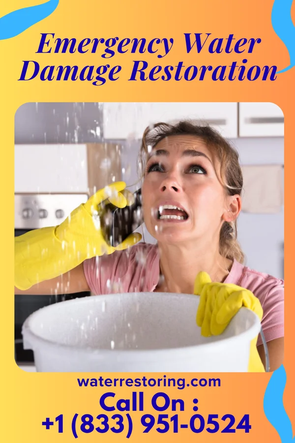 Emergency Water Damage Restoration in Hull, IA